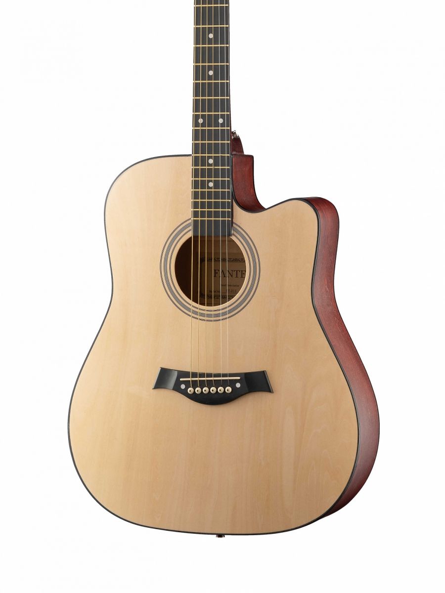 Акустическая гитара Fante FT-221-N (дубль)