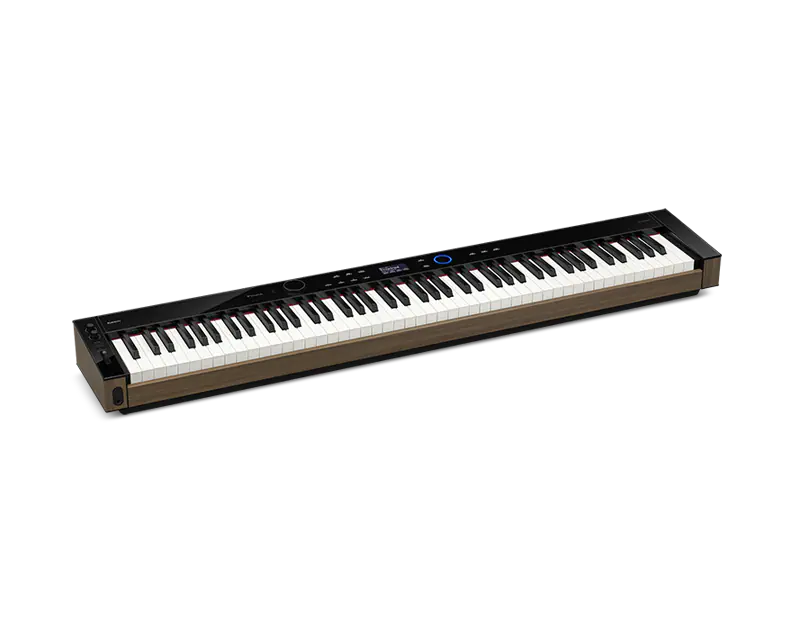 Цифровое пианино Casio PX-S6000