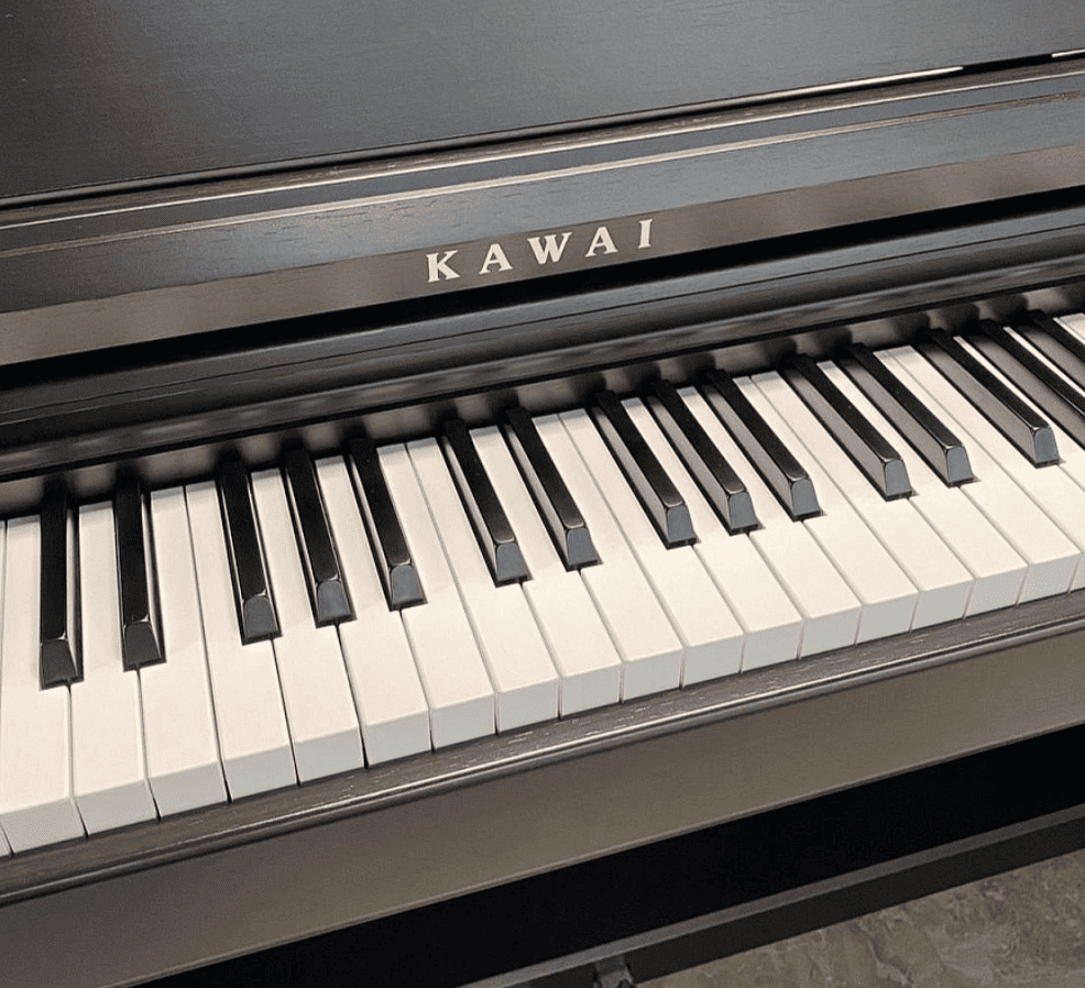 Цифровое пианино Kawai KDP120 R (bundle)
