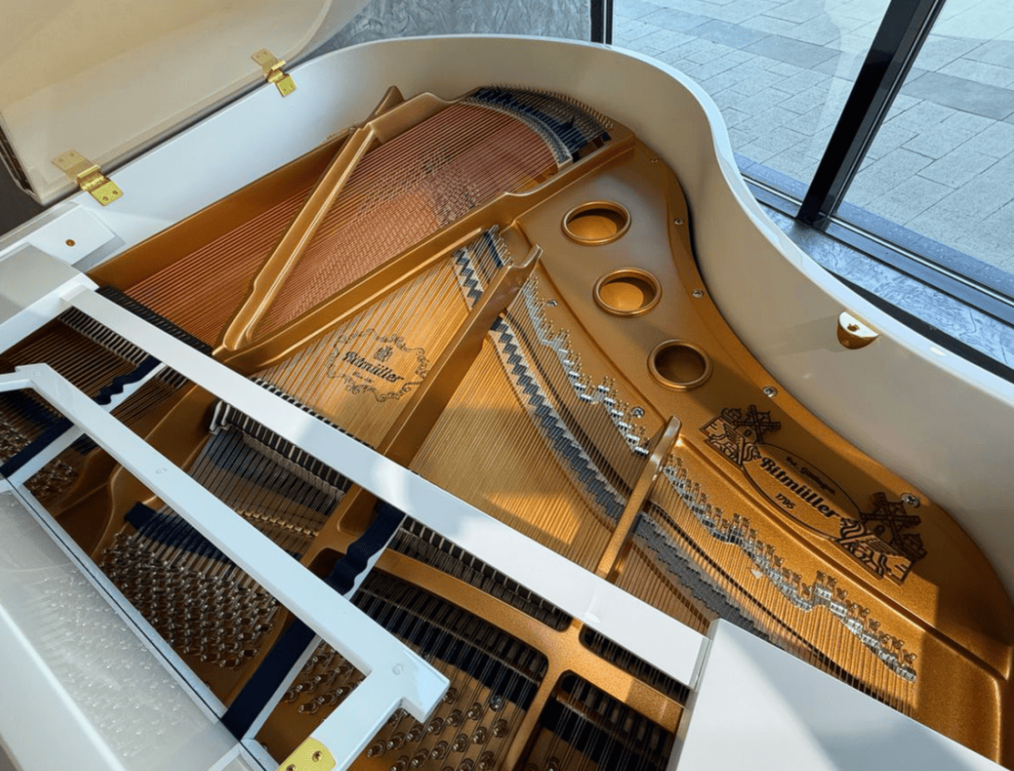 Рояль Ritmuller RS150 (A112)