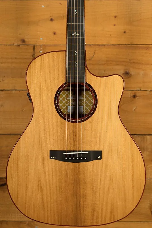 Gold-A10-Cocobolo-WCASE-NAT Gold Series Электро-акустическая гитара, с чехлом, Cort