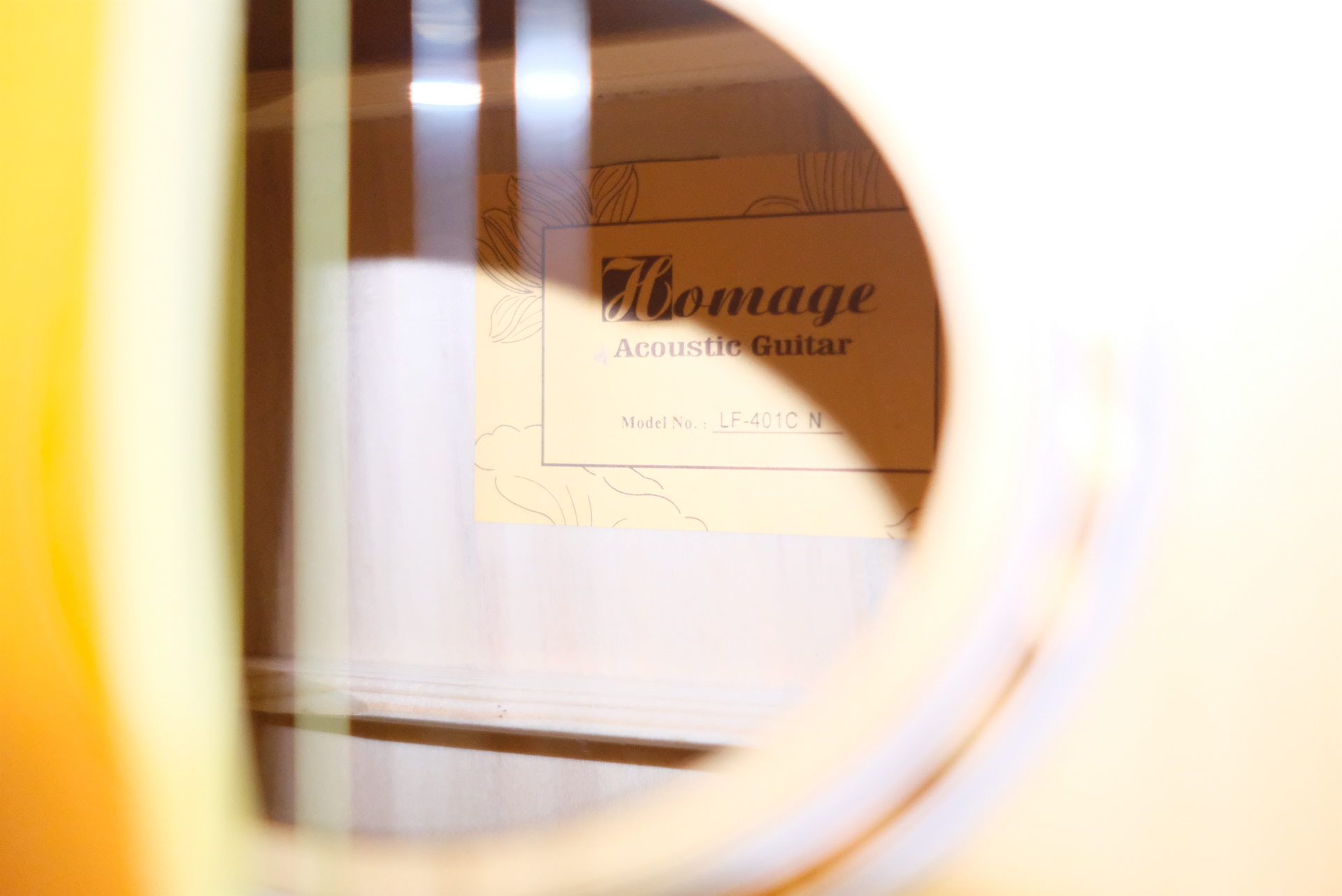 Акустическая гитара Homage LF-401C-N