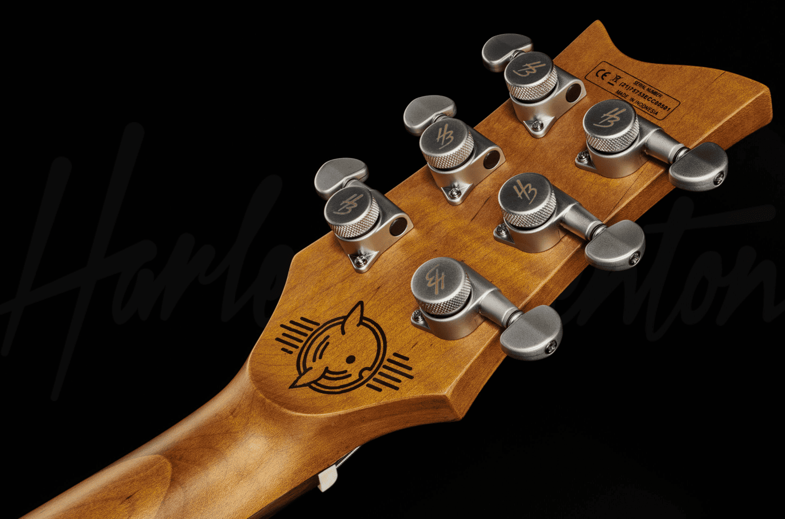 Электрогитара Harley Benton Agufish Custom Signature BT PB