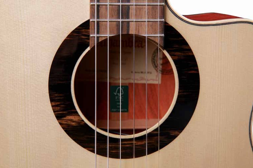 8.897 Green Sustain CTW E8 Классическая гитара со звукоснимателем, Alhambra