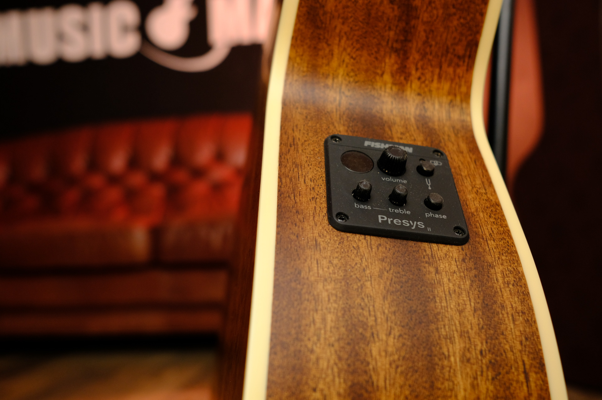 Гитара Cort Luce Series L100F-NS