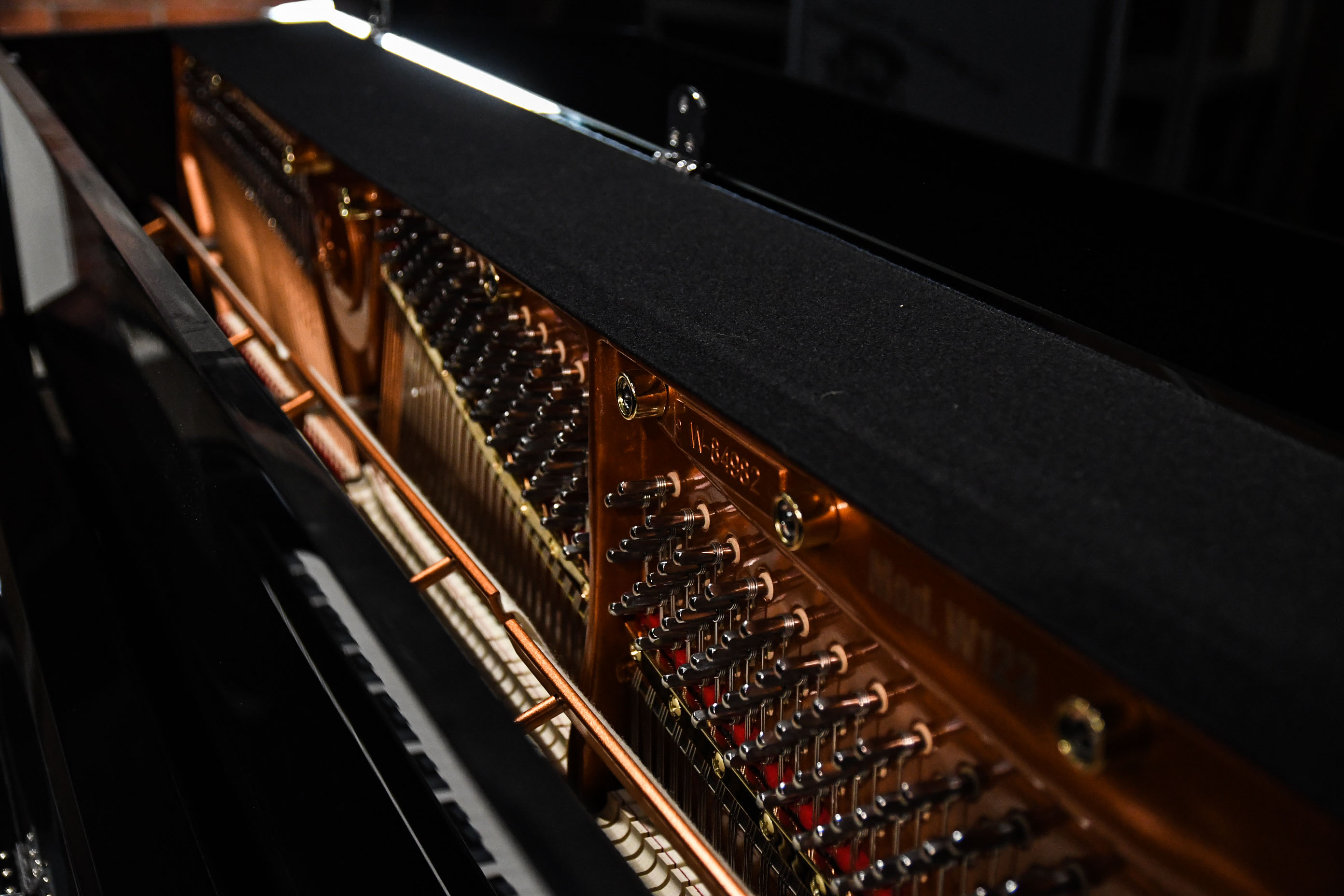 Wendl & Lung W123BL Пианино акустическое