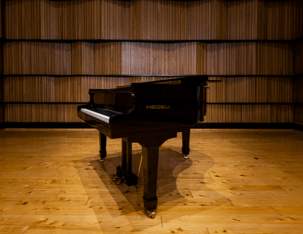 Цифровой рояль Medeli GP805