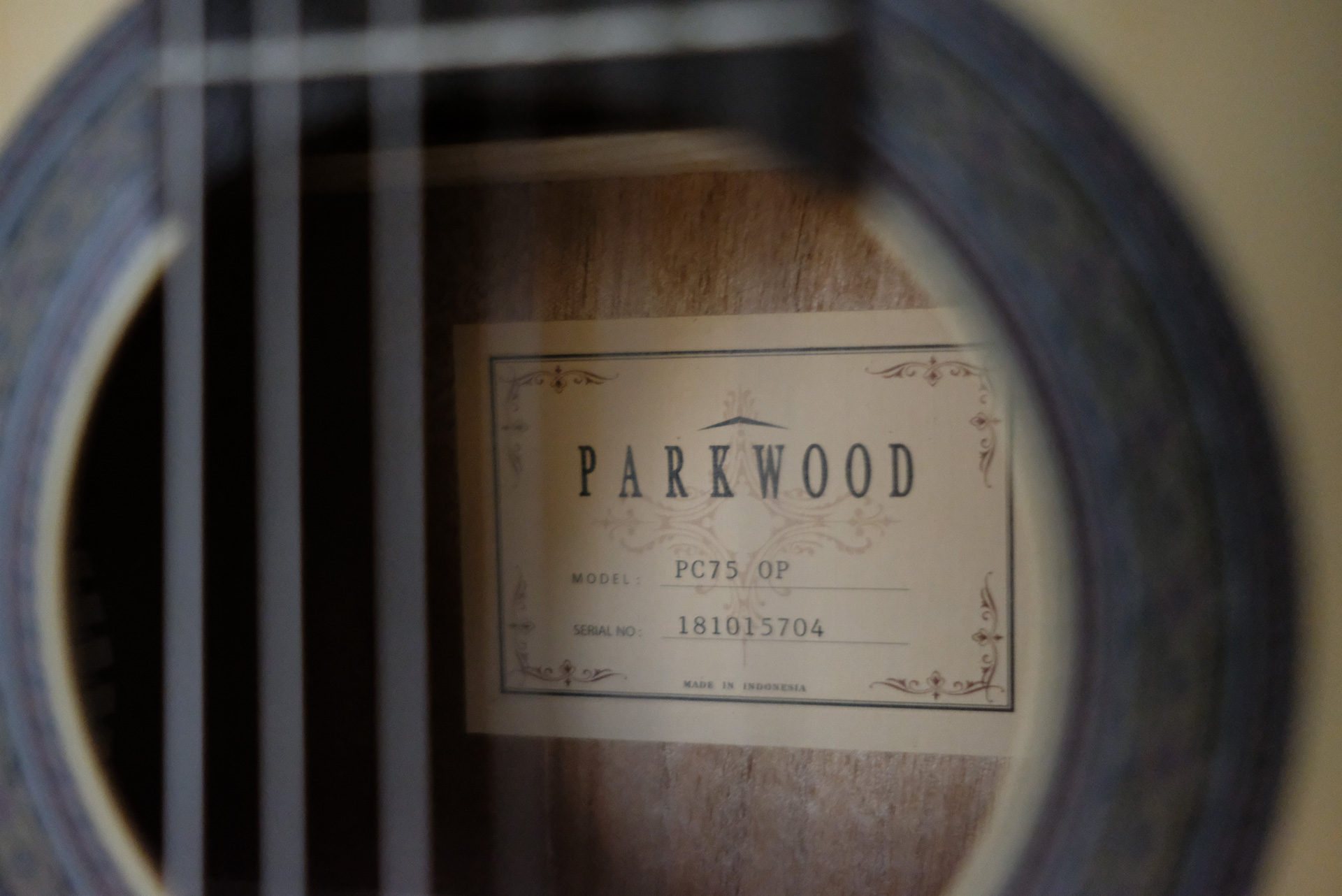 Классическая гитара Parkwood PC75