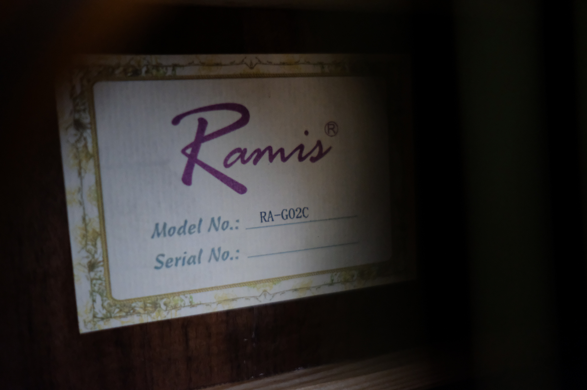 Акустическая гитара Ramis RA-G02C