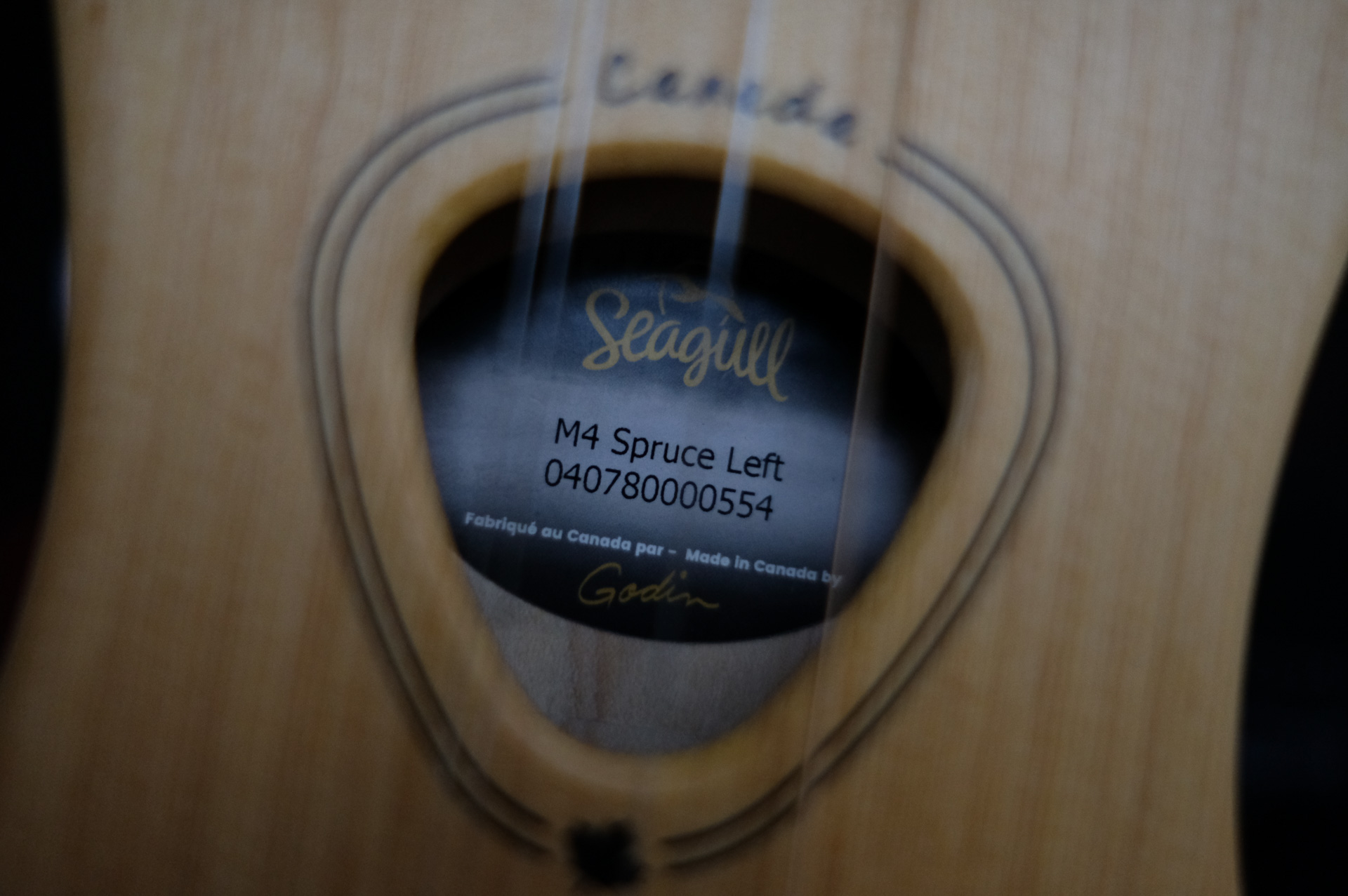 Дульцимер со звукоснимателем, Seagull M4 Spruce EQ 042524