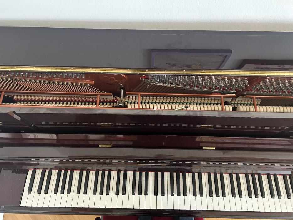 W123WL Пианино акустическое, орех, с банкеткой Wendl & Lung