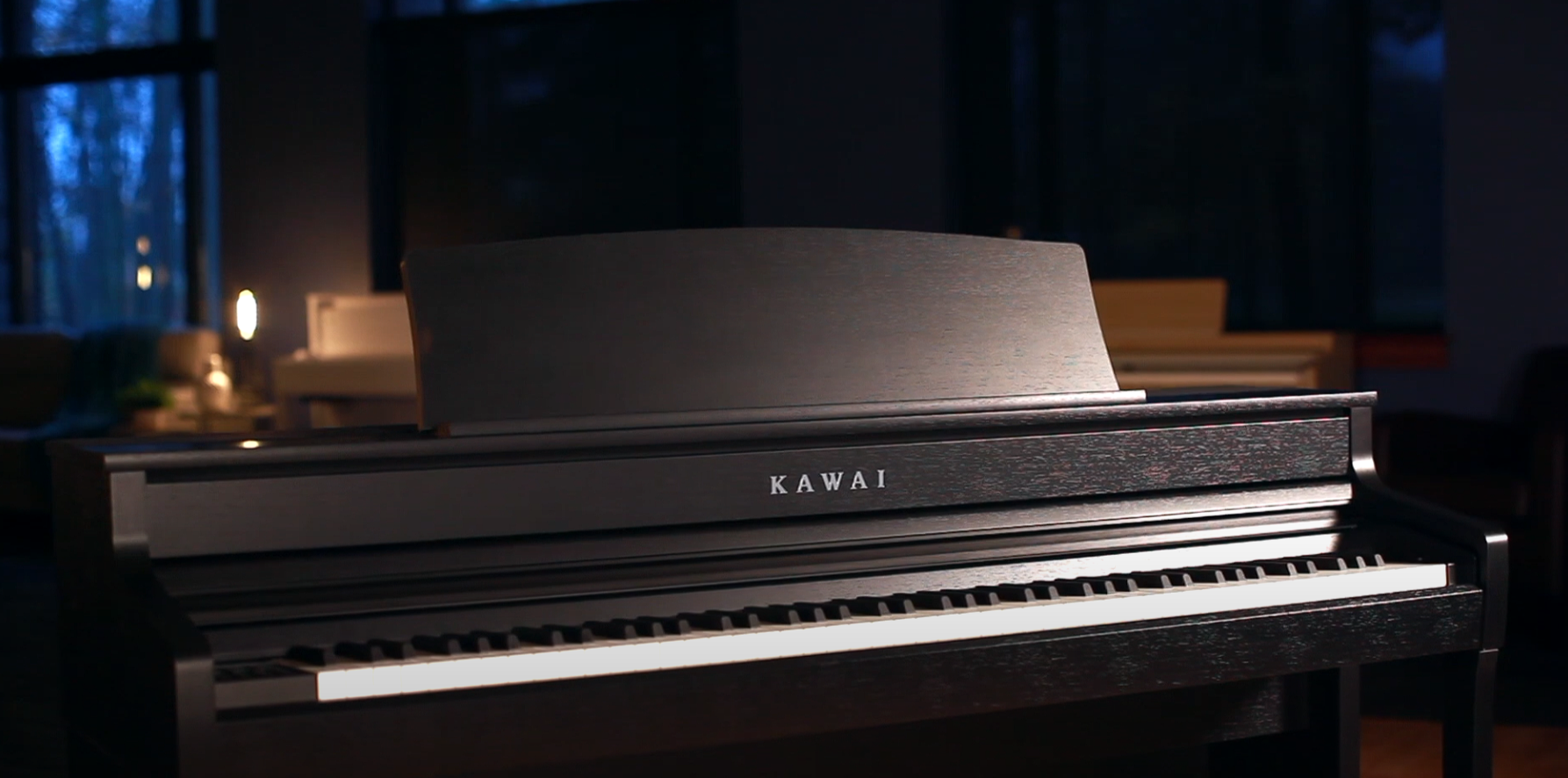 Цифровое пианино Kawai CA-501 B | CA501