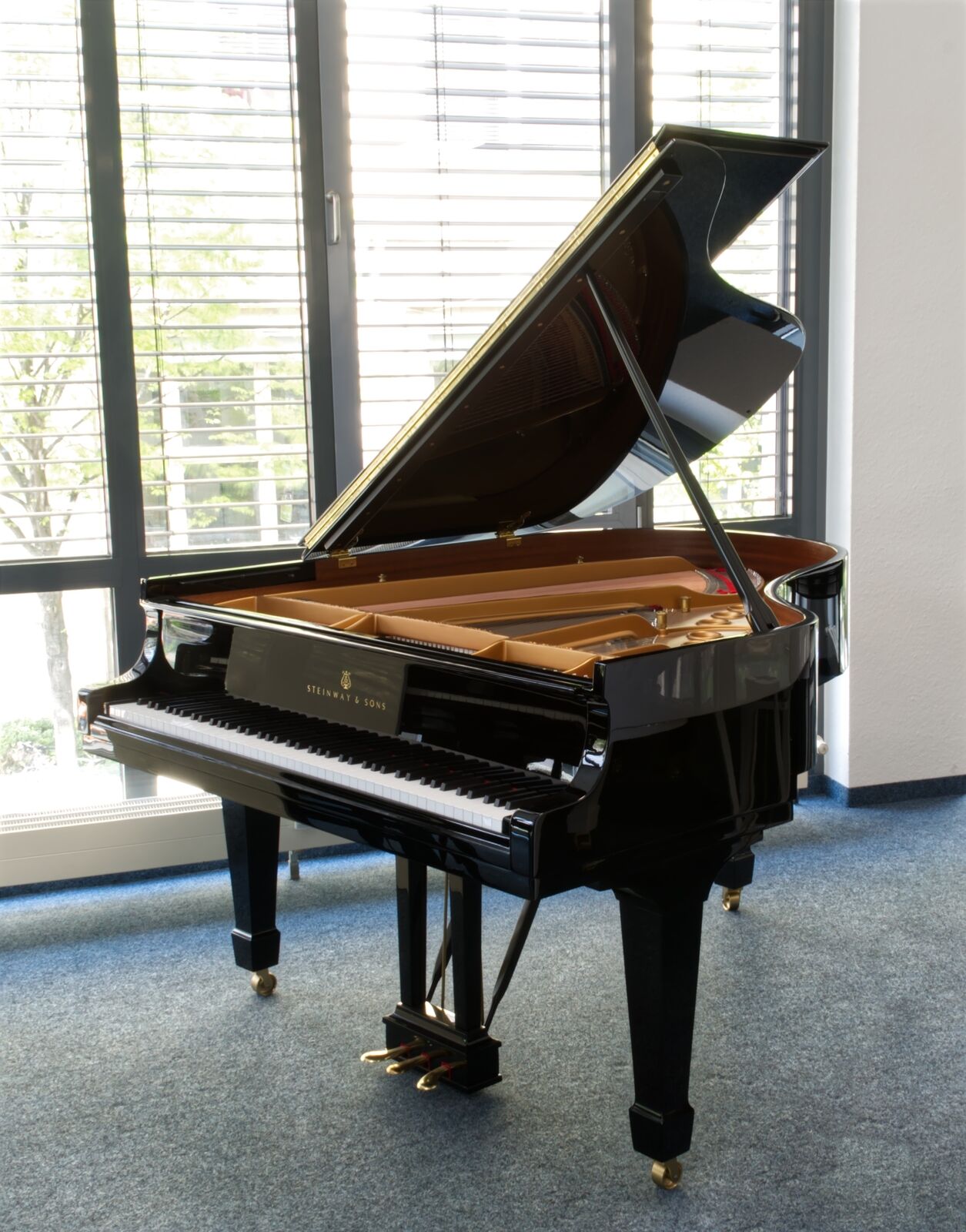 Рояль STEINWAY & SONS M-170 PE